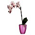 Kunstblume Orchidee 