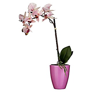 Kunstblume Orchidee (Höhe: 42 cm, Rosa, Kunststoff)