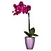 Flor artificial Orquídea 