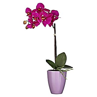 Kunstblume Orchidee (Höhe: 42 cm, Lila, Kunststoff)