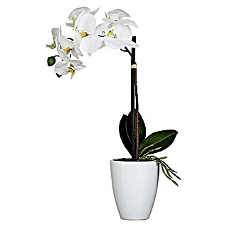 Kunstblume Orchidee (Höhe: 42 cm, Blanca, Kunststoff)