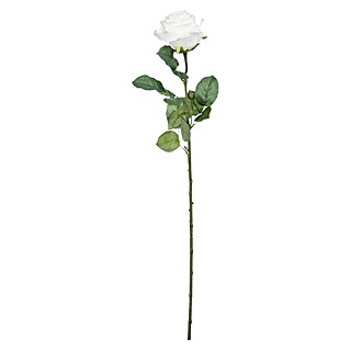 Umjetni cvijet Ruža (Visina: 69 cm, Bijele boje, Plastika)