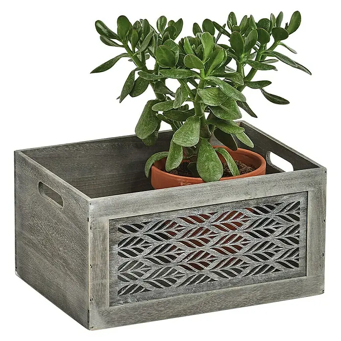 Zeller Present Aufbewahrungsbox Leaves L - L x B x H: 350 x 250 x 180 mm, Holz, Grau - Grauer Holzkasten mit Blattmuster und einer Topfpflanze. Ideal für die Dekoration und Aufbewahrung im Wohnbereich.