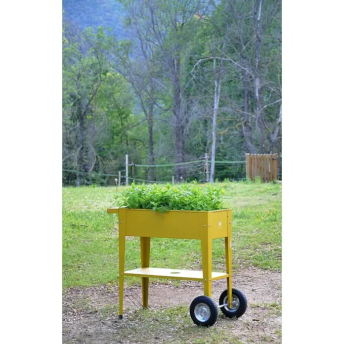 Herstera Garden Kräuterhochbeet Urban - L x B x H: 85 x 50 x 80 cm, Mustard - Gelber Pflanzkasten auf Rädern, bepflanzt mit üppigem Grün, steht im Garten. Praktisch und mobil für Kräuter und Gemüse.