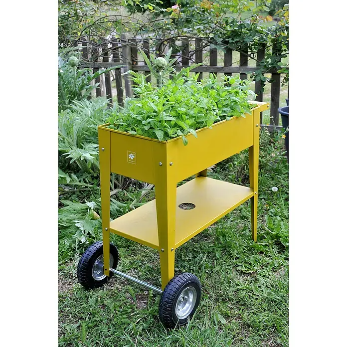 Herstera Garden Kräuterhochbeet Urban - L x B x H: 85 x 50 x 80 cm, Mustard - Gelber Kräutergartenwagen mit Minze, der einen frischen und mobilen Anbau von Kräutern ermöglicht und sich ideal für Balkon und Garten eignet.