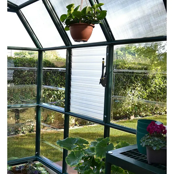 Palram – Canopia Ventana lateral para invernadero - Específico para: invernaderos Palram - Canopia - Vista interior de un invernadero con plantas en macetas y persianas de ventilación para condiciones de crecimiento óptimas.