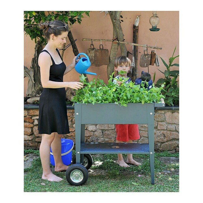 Herstera Garden Kräuterhochbeet Urban (L x B x H: 85 x 50 x 80 cm, Anthrazit) | BAUHAUS