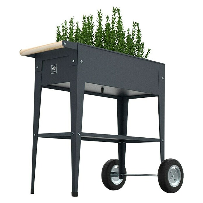 Herstera Garden Kräuterhochbeet Urban (L x B x H: 85 x 50 x 80 cm, Anthrazit) | BAUHAUS