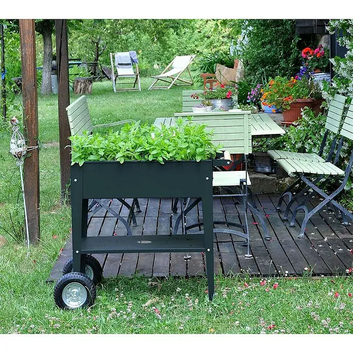 Herstera Garden Kräuterhochbeet Urban - L x B x H: 85 x 50 x 80 cm, Anthrazit - Ein dunkler, mobiler Pflanzkasten mit üppigen grünen Pflanzen, der eine charmante Gartenszene ergänzt.