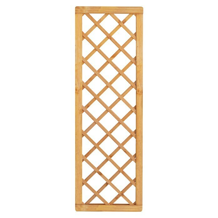 Rankgitter Bern (B x H: 59 x 179 cm, Holz, Pinie) | BAUHAUS