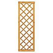 Rankgitter Bern (B x H: 59 x 179 cm, Holz, Pinie) | BAUHAUS