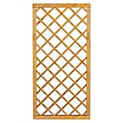 Rankgitter Bern (B x H: 89 x 179 cm, Holz, Pinie) | BAUHAUS