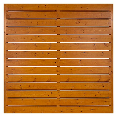 Andrewex Sichtschutzelement Faro (180 x 180 cm, Pinie)