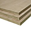 Multiplexplaat Powerplex Bio (Eucalyptus, 244 x 122 cm, Dikte: 3,6 mm) | BAUHAUS