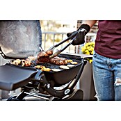 Weber Gasgrill