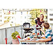 Weber Gasgrill