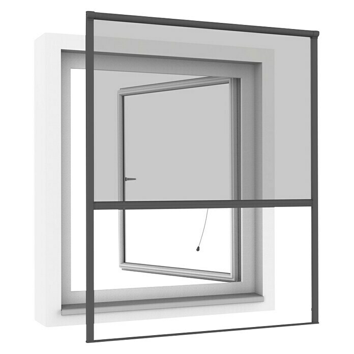 Windhager Insektenschutz Magnetfenster MAGNET Rahmen für Fenster  Fliegengitter Mückengitter, werkzeugfreie Montage, Anthrazit, 100 x 120 cm,  03389