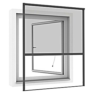 Windhager Insektenschutz-Fensterrollo IS Plus (130 x 160 cm, Anthrazit)