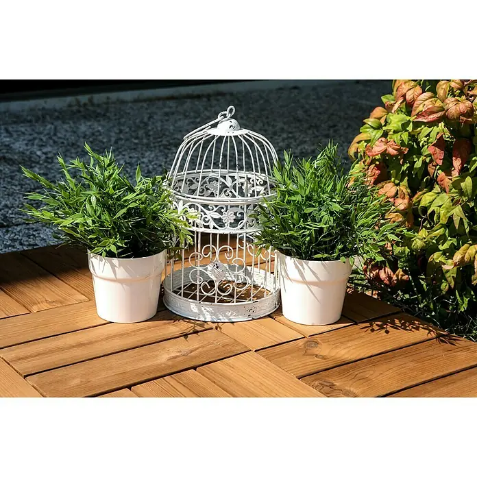 Loseta con sistema click Smartdeck - Pino, 30 x 30 x 2,5 cm, Natural, 6 ud. - Escena decorativa con una jaula de pájaros blanca, dos plantas en macetas sobre una terraza de madera y un arbusto colorido al fondo.