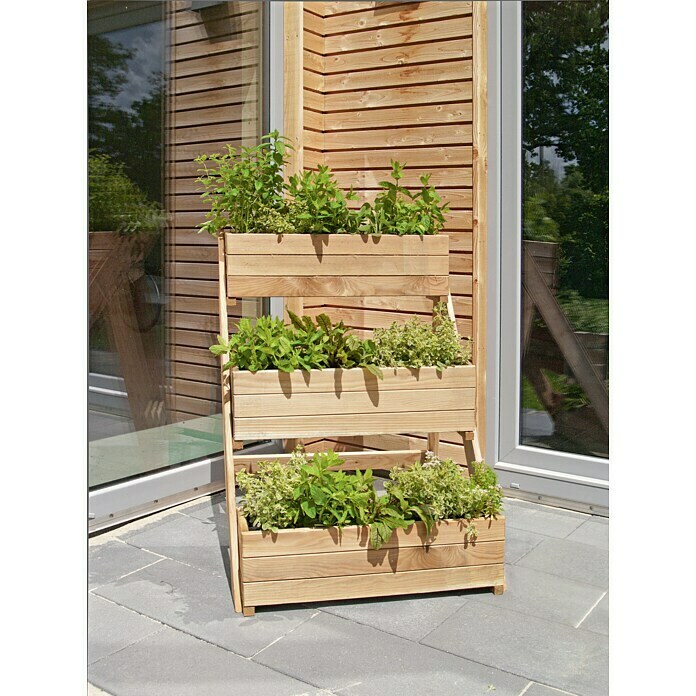 Pflanzkasten - Auenma (L x B x H): 92 x 78 x 102 cm, Holz, Natur online  kaufen bei BAUHAUS