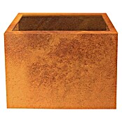 Palatino Exlusive Line Maceta para las plantas (80 x 40 x 50 cm, Acero Corten, Rojo-pardo)