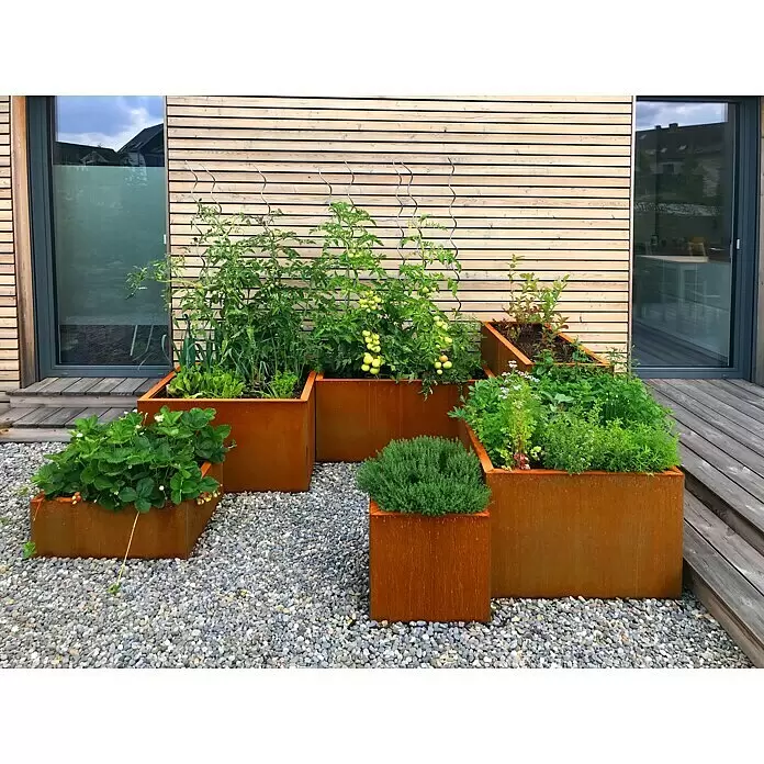 Palatino Exclusive Line Pflanzkasten Lotte - 80 x 40 x 50 cm, Cortenstahl,  Rotbraun online kaufen bei BAUHAUS