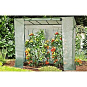 Gardol Staklenik za rajčice (200 x 77 x 169 cm)