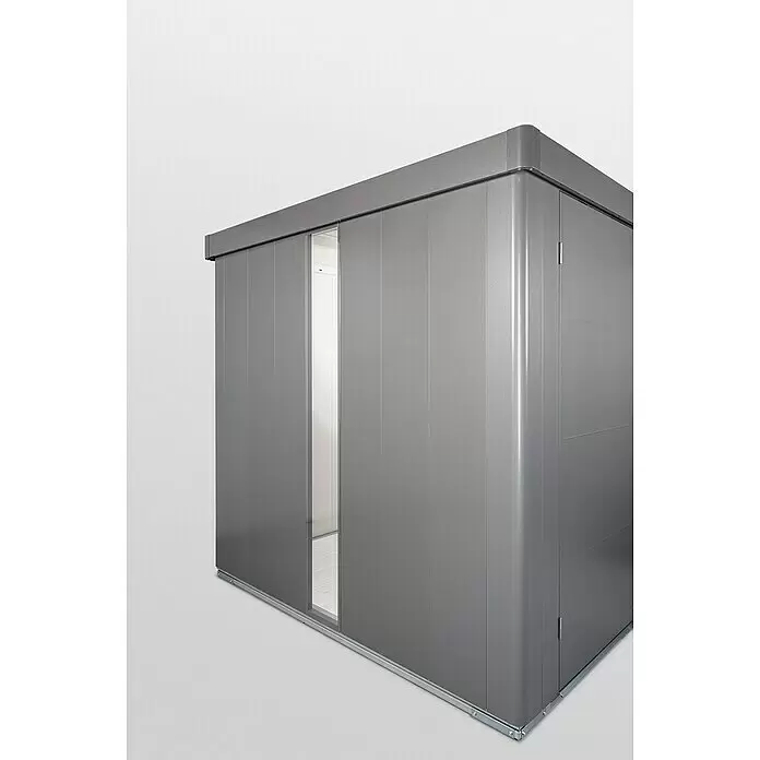 Biohort Neo Glaseinsatz - Passend für: Biohort Gerätehäuser Neo, Dunkelgrau-Metallic, B x H: 32 x 207 cm - Detailaufnahme