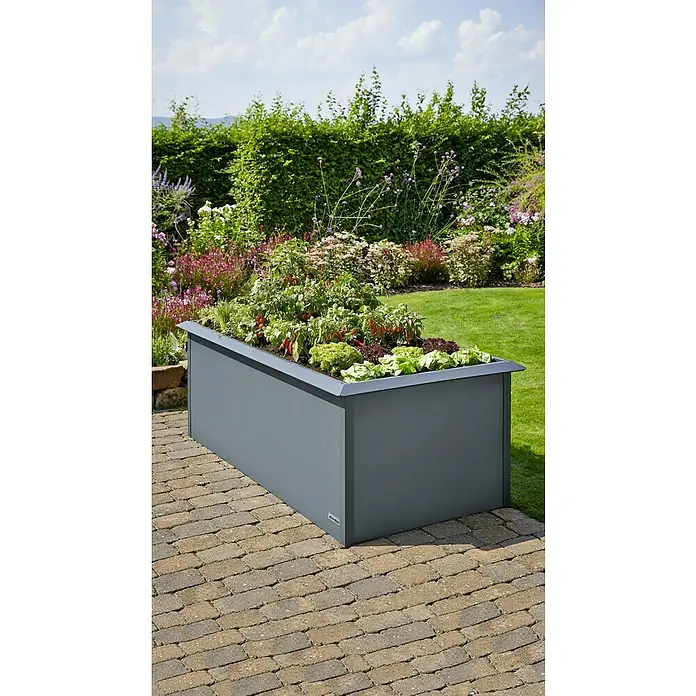 Gardol Huerto urbano - 200 x 100 x 76 cm, Acero, Antracita - La imagen muestra un huerto elevado de metal gris, plantado con lechugas y pimientos, ubicado sobre un camino de ladrillos en un jardín exuberante.