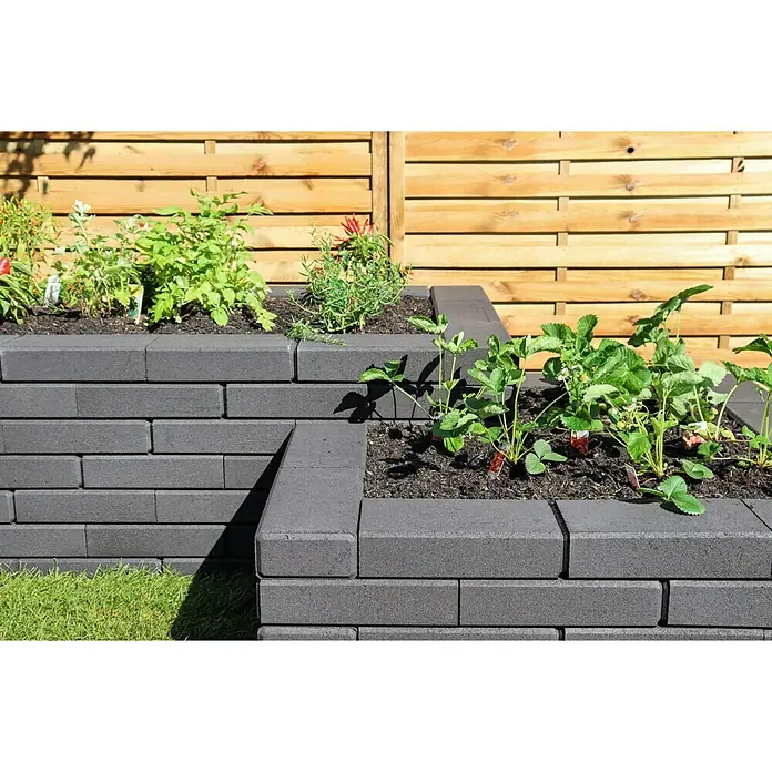 Christoph Mauerstein C-Line Block - 30 x 15 x 7,5 cm, Anthrazit, Beton - Gestufter Garten mit Pflanzen in Hochbeeten aus anthrazitfarbenen Pflanzsteinen vor einem Holzzaun im Hintergrund.