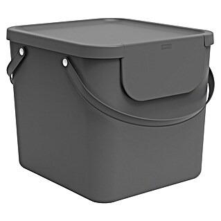 Rotho Albula Mülltrennsystem (40 l, Kunststoff, Anthrazit)