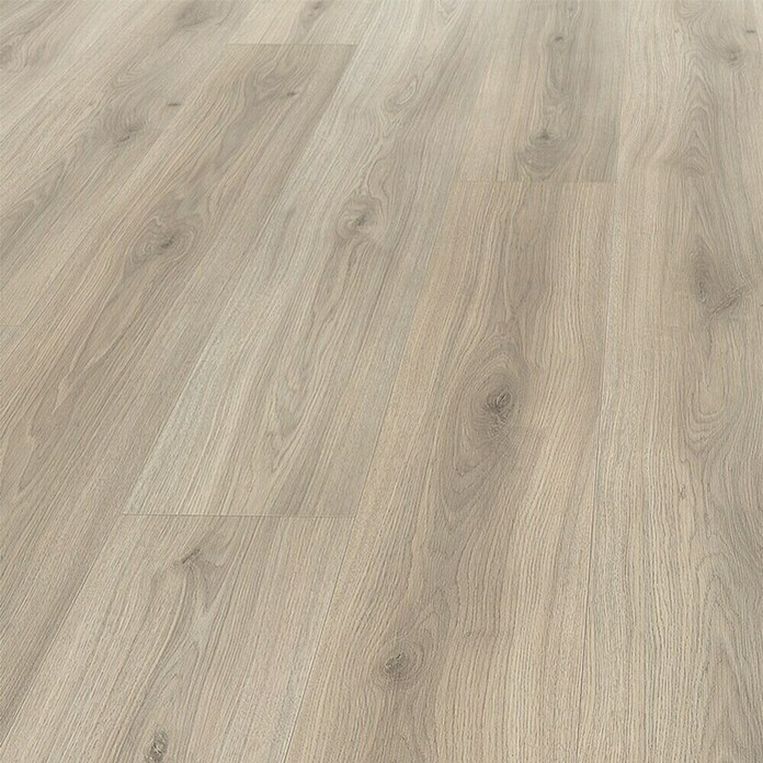 Living by Haro Laminatmuster Gigante Eiche Laval Grau (200 x 243 x 8 mm, Landhausdiele) | BAUHAUS