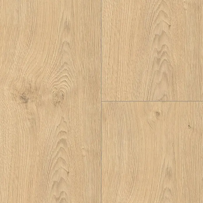 Living by Haro Laminatmuster Gigante Eiche Calgary Creme - 200 x 243 x 8 mm, Landhausdiele - Nahaufnahme von hellem Laminatboden mit natürlicher Holzmaserung, ideal für moderne Wohnräume mit warmer Atmosphäre.