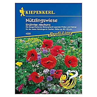 Kiepenkerl Blumensamenmischung Nützlingswiese (Verschiedene Sorten, Blütezeit: Juli, 3 m² - 4 m²)