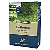 Greenfield Rasensamen Schattenrasen (1 kg, 50 m²) | BAUHAUS