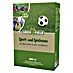 Greenfield Rasensamen Spiel- & Sportrasen 