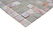 Mozaïektegel vierkant Uni GM GSL 510 (32,7 x 30,5 cm, Beige, Glanzend) | BAUHAUS