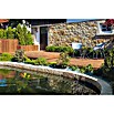 Terrassendiele (Kiefer, 300 x 14,5 x 2,8 cm, Farbe: Teak)