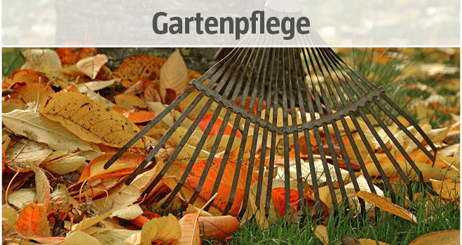 Gartenpflege bei BAUHAUS