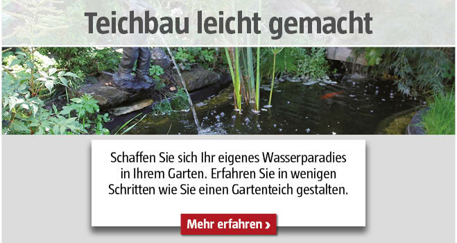 Teichbau leicht gemacht