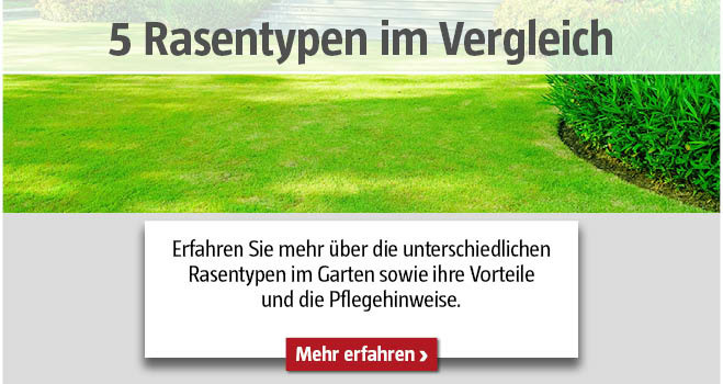 5 Rasentypen im Vergleich
