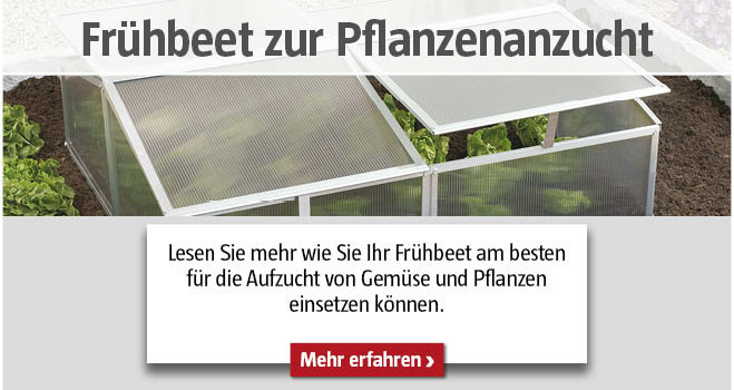 Frühbeet zur Pflanzenanzucht