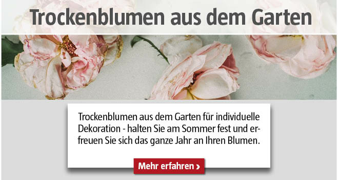 Trockenblumen