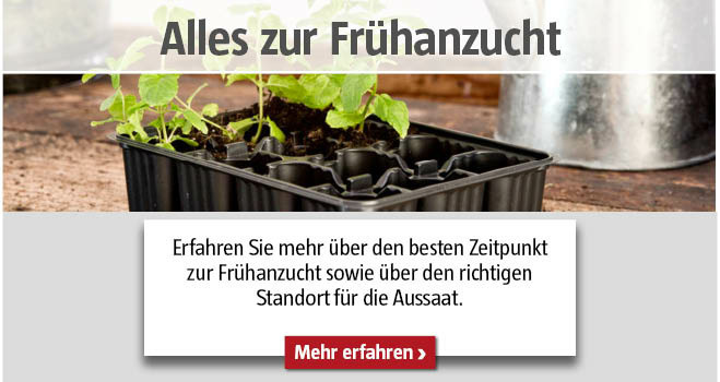 Alles zur Frühanzucht