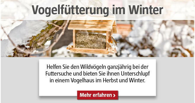 Vogelfütterung im Winter