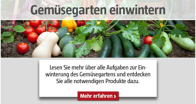 Gemüsegarten einwintern