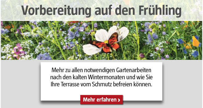 Richtige Frühlingsvorbereitung