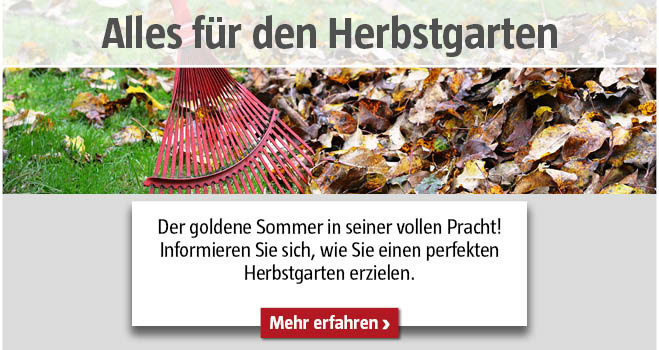 Alles für den Herbstgarten
