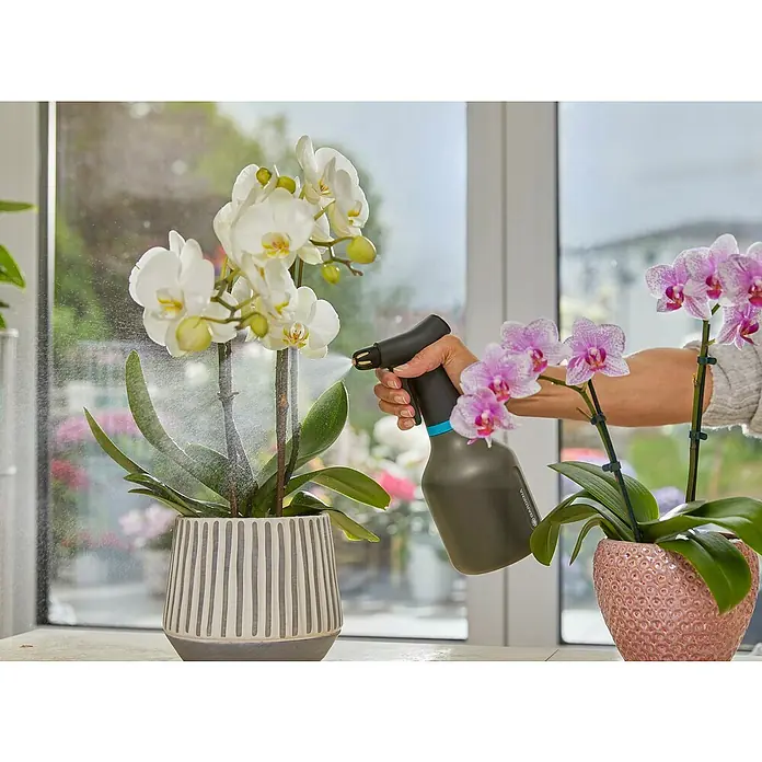 Gardena Pulverizador - 0,75 l, Plástico, Negro - Se utiliza un pulverizador de plantas GARDENA para rociar orquídeas en macetas, humedeciendo suavemente las flores y las hojas con una fina niebla.