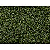 Césped artificial Ibiza (5 x 2 m, Altura del pelo: 40 mm, 27.300 puntadas/m²) | BAUHAUS